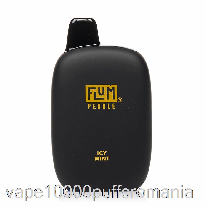 Vape Romania Flum Pebble 6000 De Unica Folosinta Menta Inghetata